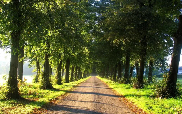 B&B Het Wouwe