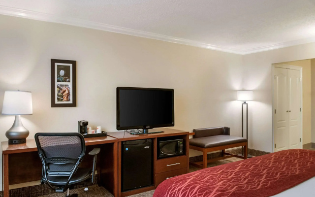 Comfort Inn & Suites At Copeland Tower