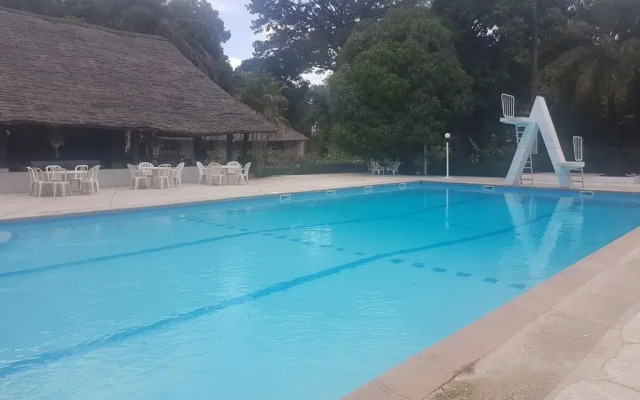 Nema Kadior