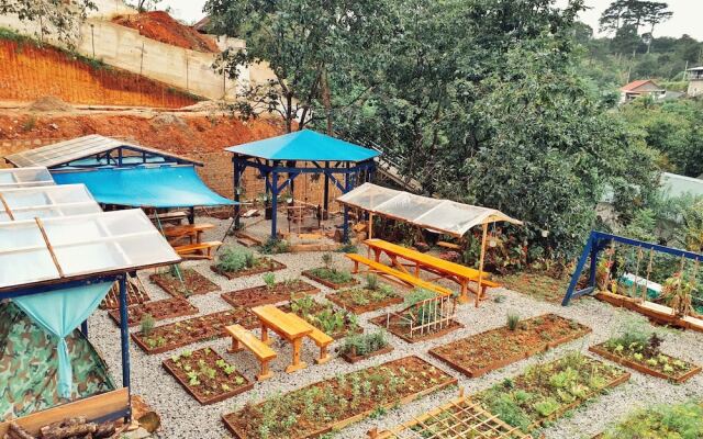 Degree 29 Hostel