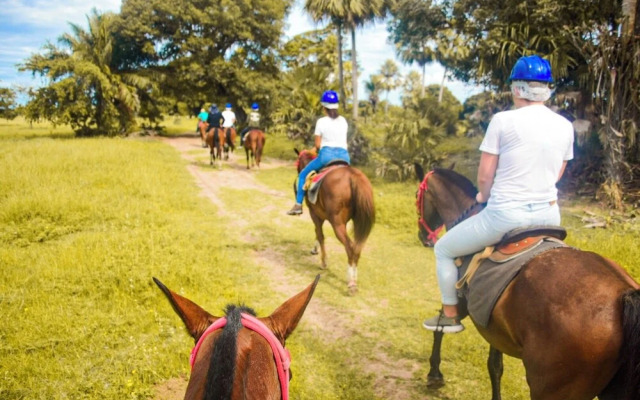 Pousada Arara Azul - Pantanal sul