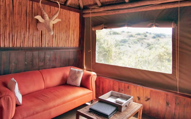 The Safari Lodge