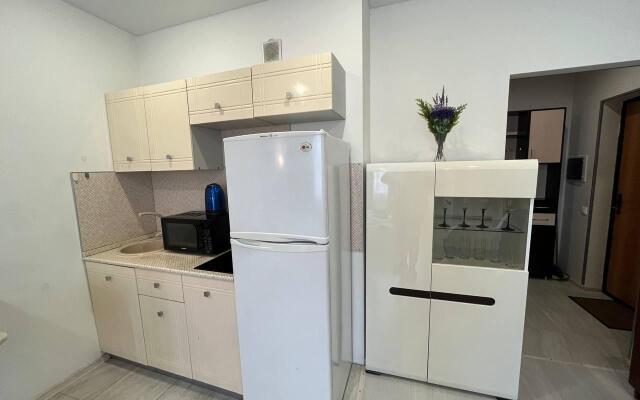 Апартаменты на улице Советской Конституции