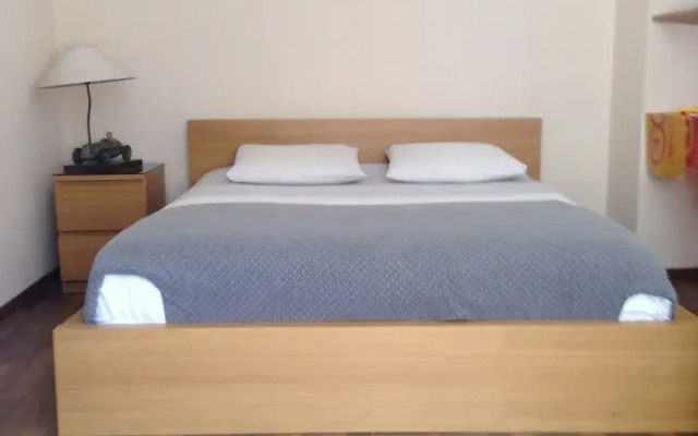 Appartement Plein Centre la Bulliere