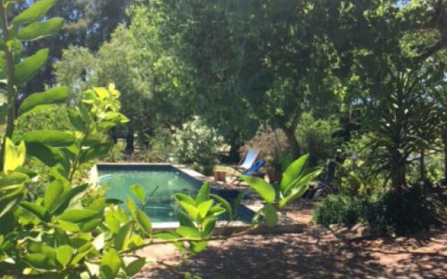 Boerfontein - Home of Olivision