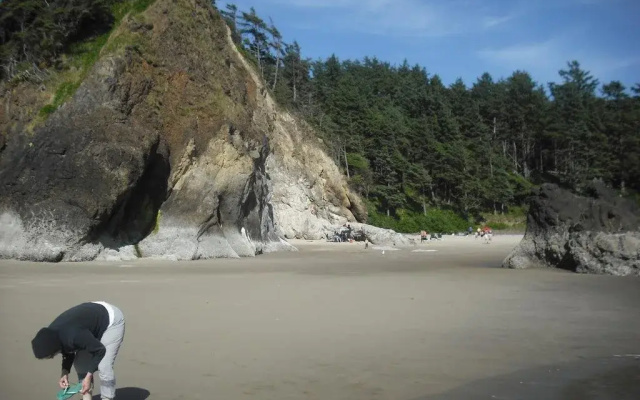 Grey Whale Inn