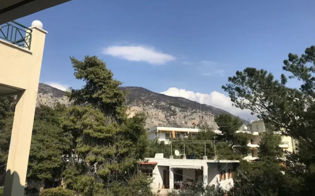 Skiron studios