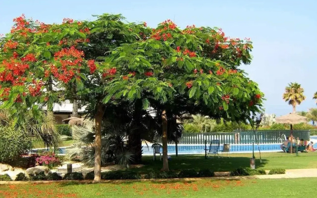 VenAVera C10A - Ground floor Garden 3Bedrooms/2Baths Beachfront, WIFI