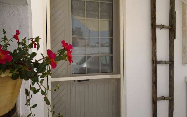 Pazze's House