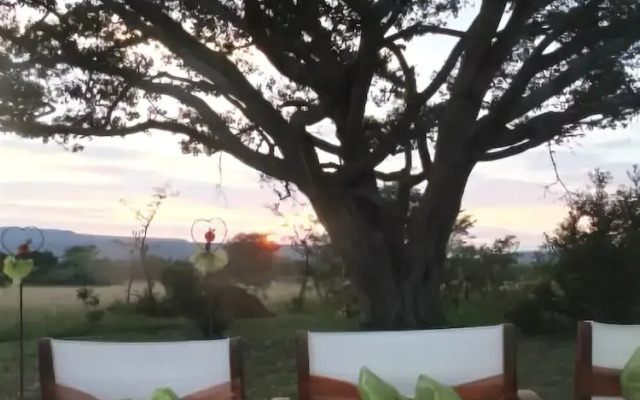 Witwater Safari Lodge & Spa