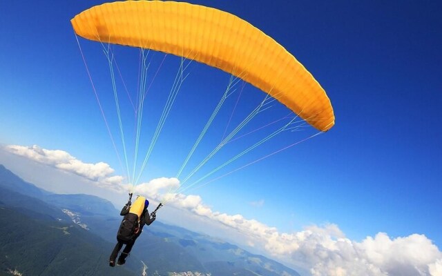 Damyanti Hotel And Resort