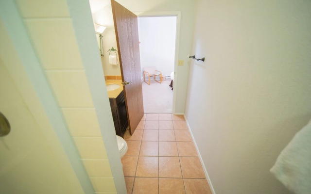 Flying Dutchman 1117