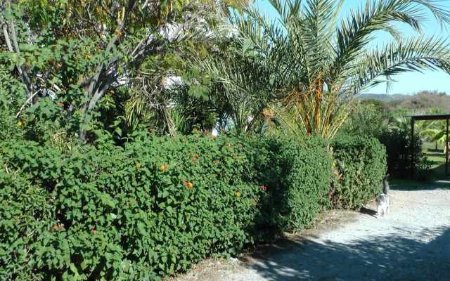 Petasos Apartments
