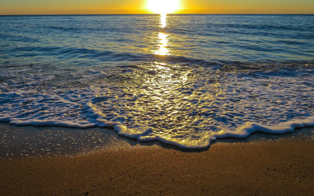 Roydon Beachfront Apartments