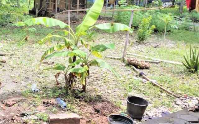 Sor Sawo Krebet Homestay Syariah