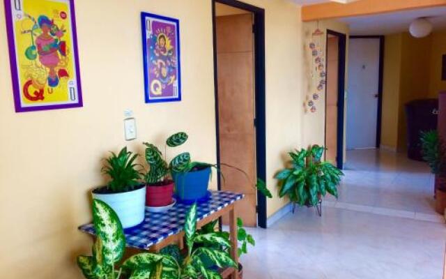 Hostel Trail