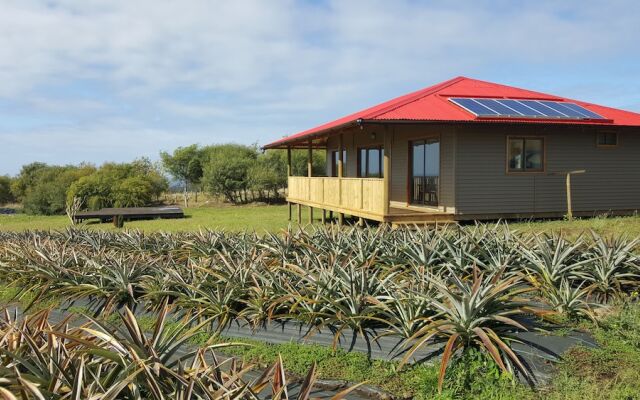 Maunga roa eco lodge