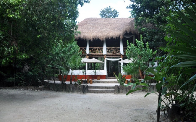 Jolie Jungle Eco Hotel