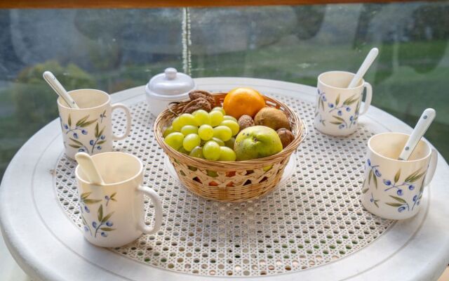 Soyouz Vanguard 12604