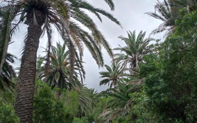 Aguere Nest Hostel