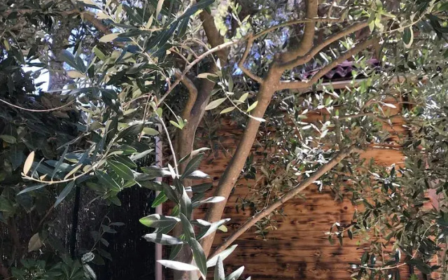 Appartement Cosy sur Presqu'île