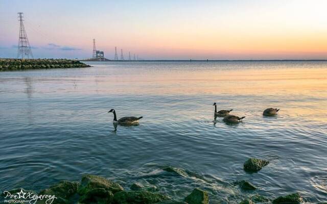 Element Hampton Peninsula Town Center