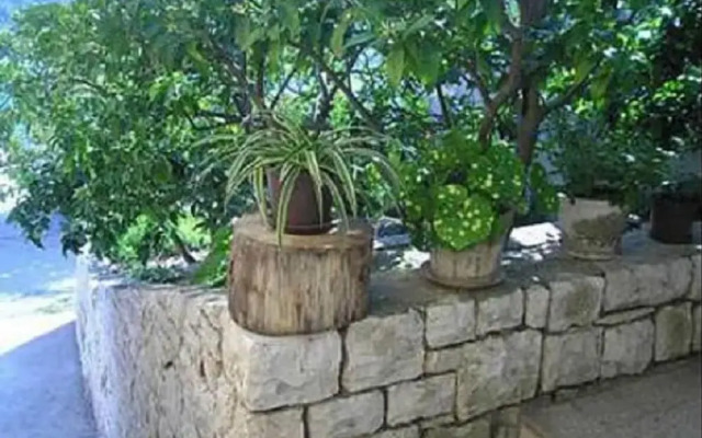 Frano - 50m From the Beach - A1