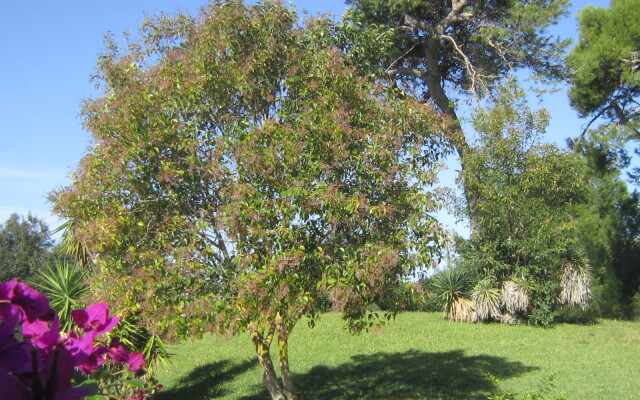 Hotel Masseria Fabrizio