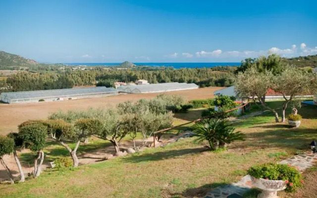 Agriturismo Gli Ulivi