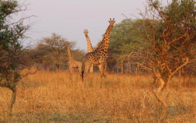 Chaminuka Lodge and Nature Reserve