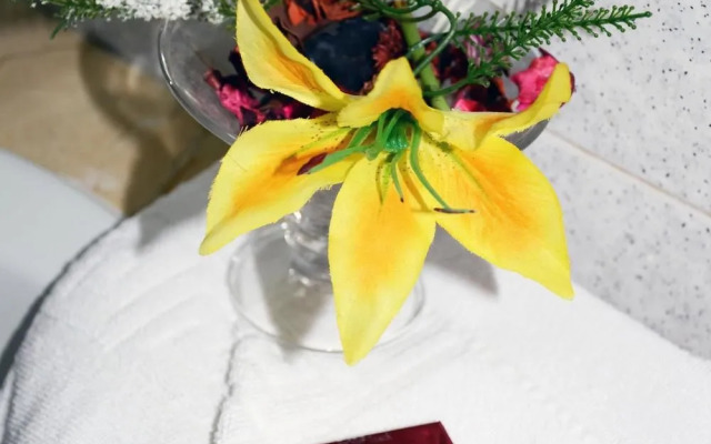 Hotel Antares & Hotel Olimpo-Le Terrazze