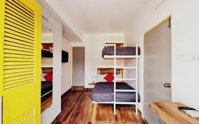 Stay inn nest