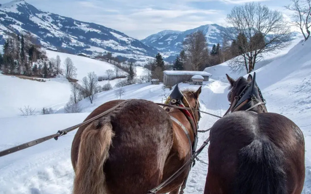 Das Hopfgarten Familotel Tirol