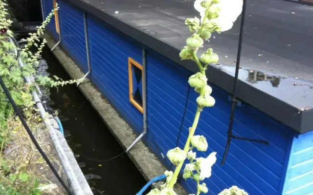 The Blue Houseboat