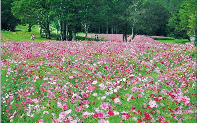 Country Pension Mori no Symphony