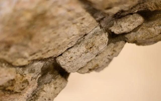 Via Nilo 30 in Naples