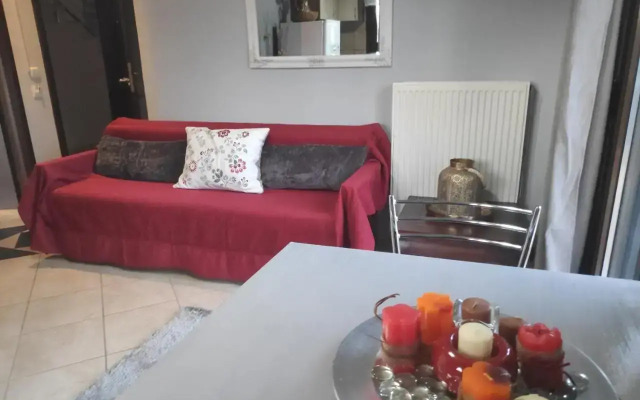 Forest View Apartment