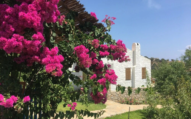 Koy Evi Apart