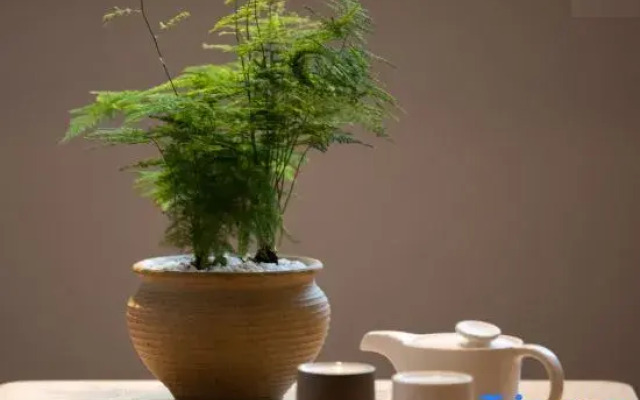 Atour Hotel (Sichuan Taikoo Li, Tianfu Square Metro Station)