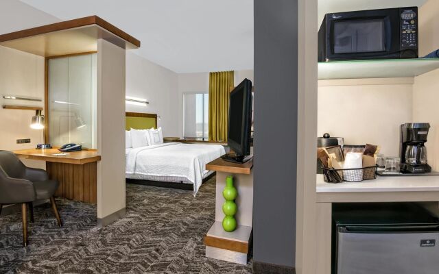 SpringHill Suites by Marriott San Antonio SeaWorld Lackland