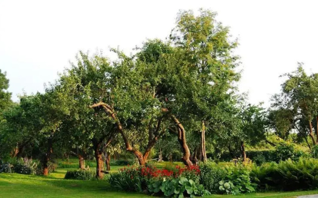 Pakalnė