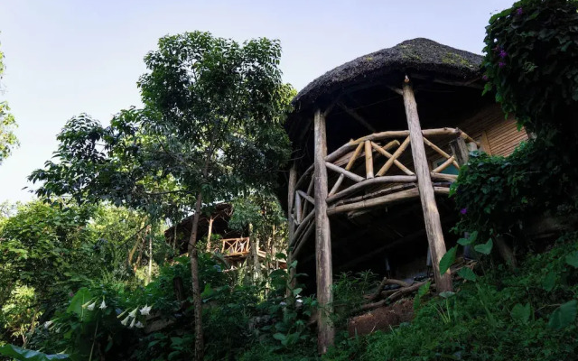 Dave Cave Eco Lodge and Campsite