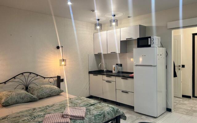 Апартаменты на улице Курыжова 16