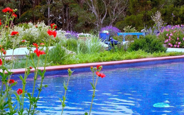 Lemonade Creek Cottages