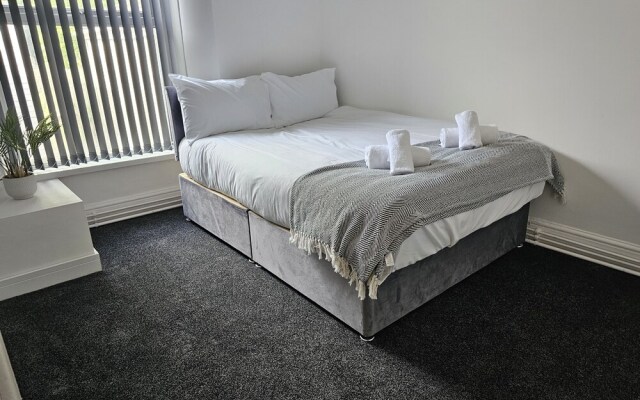 Lovely Apartment in Swansea