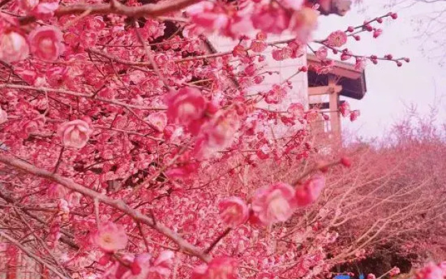 Starway Hotel (Xi'an Gaoxin Provincial Sports Training Center)