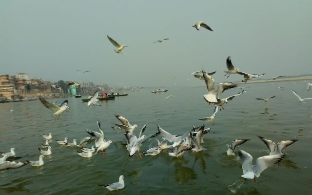 Vandana Residency