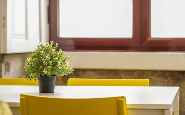 Travel & Live Alegria 248