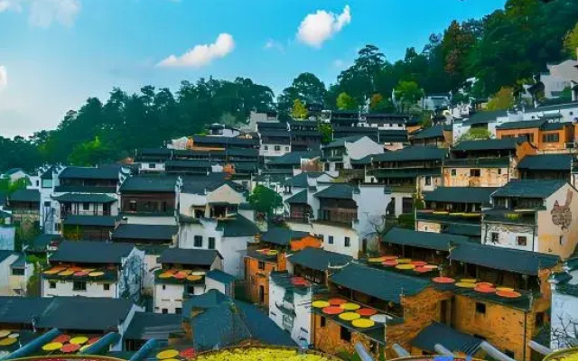 Wuyuan Alley to Homestay (Guling Scenic Area)