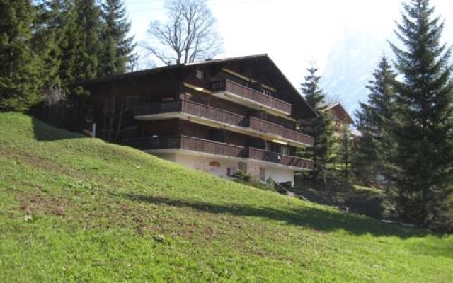 Apartment Chalet Bodmisonne